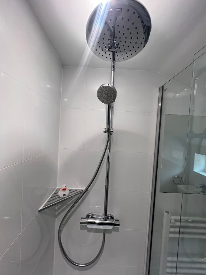 Clean White Loft Shower Room detail